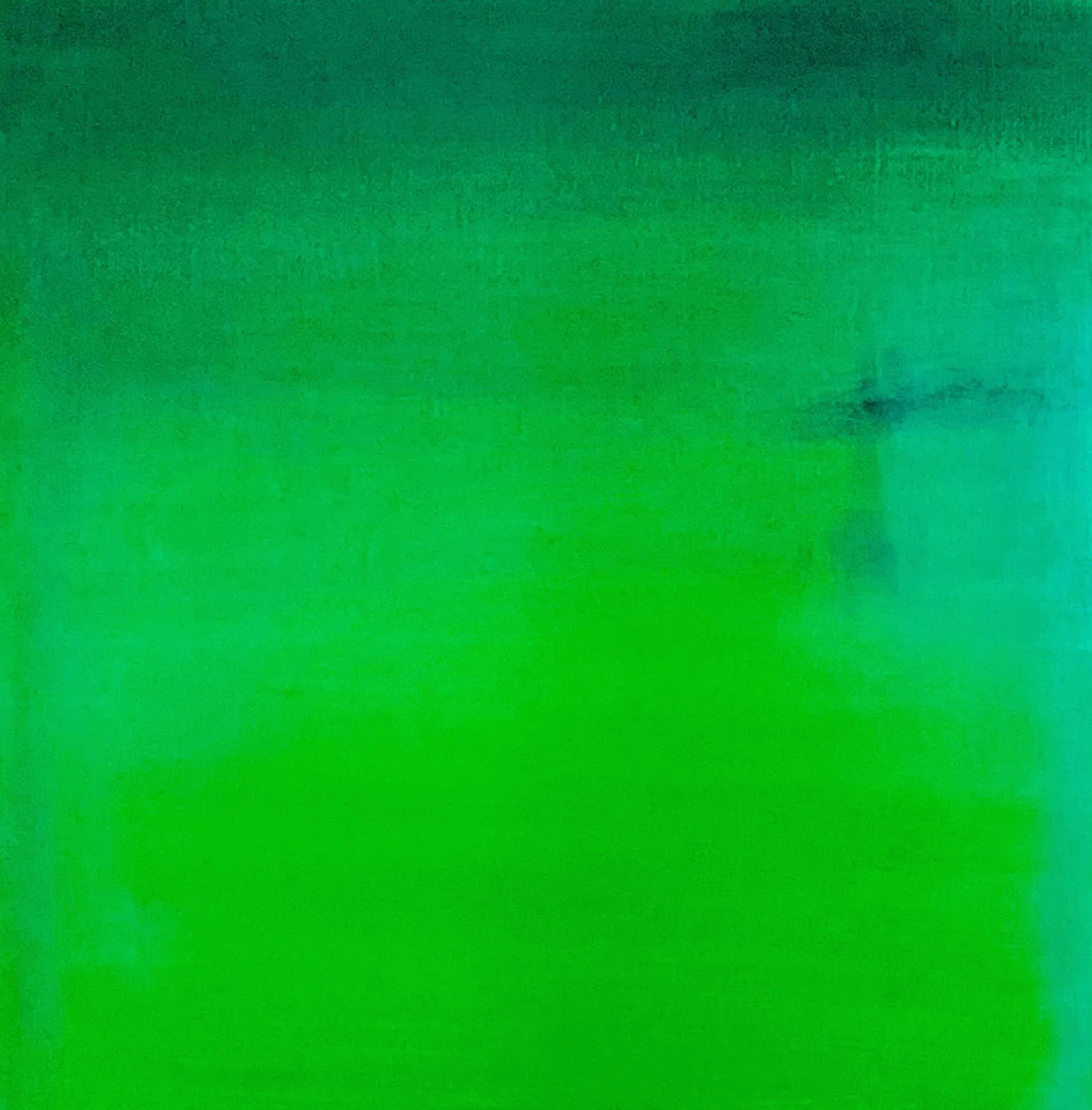 All I see is Green,2023 oil on canvas 26.5 x 26.5 $500.00 